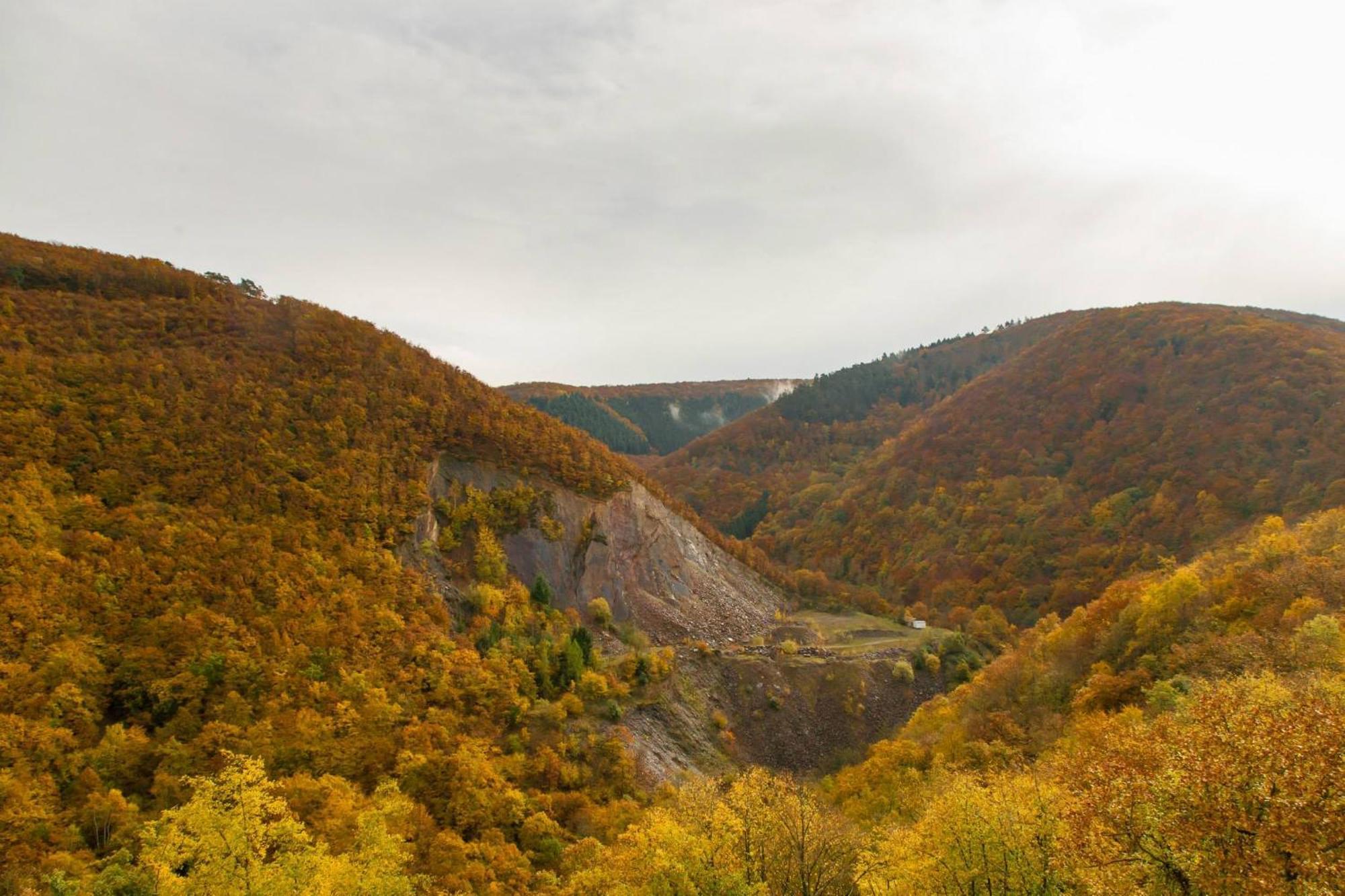 Landhaus Mueller Алькен Экстерьер фото